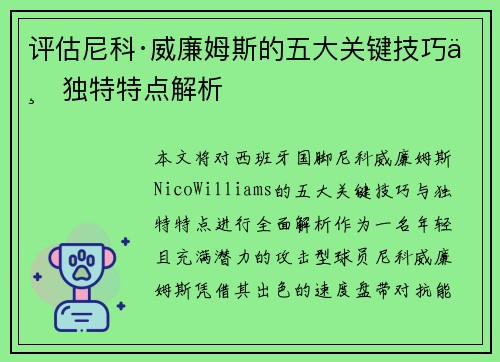 评估尼科·威廉姆斯的五大关键技巧与独特特点解析